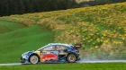 Malcolm Wilson deshoja la margarita sobre la presencia de los Ford Puma en el WRC - SoyMotor.com
