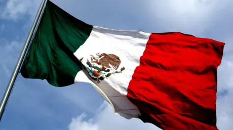 bandera-mexico-laf1.jpg
