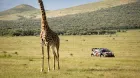 Rally Safari 2024: Rovanperä y Toyota vuelven a la senda del triunfo - SoyMotor.com
