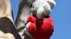 sauber-koala-soymotor.jpg