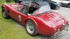 1965-shelby-cobra-289-tom-bear-fig-newtons_-_soymotor.jpg