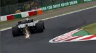 magnussen-suzuka-soymotor.jpg