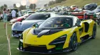 mclaren_senna_concurso_elegancia_magna_marbella.jpg