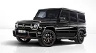 mercedes-amg-g65-final-edition-2017.jpg