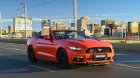 mustang_johannesburg_south_africa.jpg