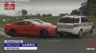 mustang_policia.jpg