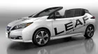 nissan-leaf-open-car.jpg