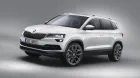 skoda-karoq-vrs-hybrid-3.jpg