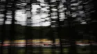 verstappen-libres-austria-soymotor.jpg