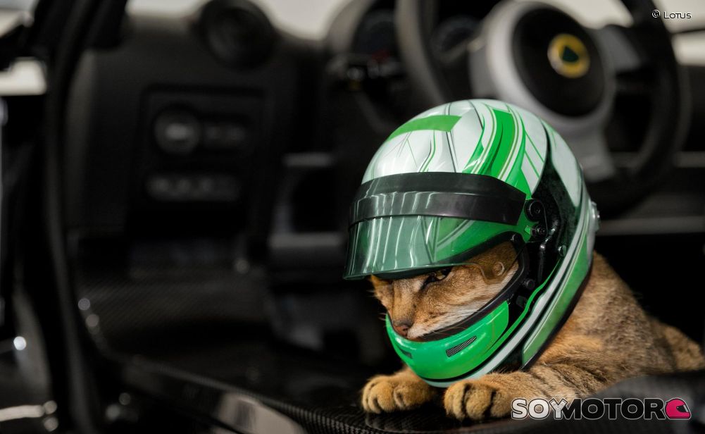 Un casco gato? Ahora es posible con Lotus Cars | SoyMotor.com
