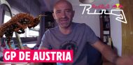 GP Austria F1 2016, las claves