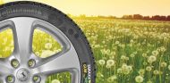 Alemania ayuda a Continental a desarrollar su neumático sostenible - SoyMotor.com