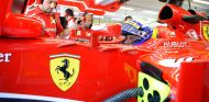 Felipe Massa en el Ferrari F138