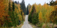 Finlandia renueva dos años más con el WRC - SoyMotor.com
