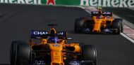 Fernando Alonso y Stoffel Vandoorne - SoyMotor.com