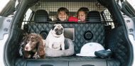Nissan X-trail 4dogs: ¡a tu perro le encantará! - SoyMotor.com