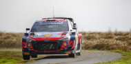 Rally Ypres-Bélgica 2021: los Hyundai aguantan en lo más alto - SoyMotor.com
