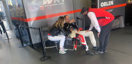 "¿Por qué nosotros?": la crueldad se ceba con Kubica en Le Mans - SoyMotor.com