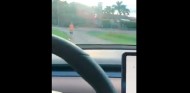 Un Tesla confunde a un niño con un cono de tráfico - SoyMotor.com