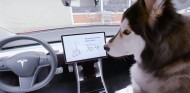 Modo Perro de Tesla - SoyMotor.com