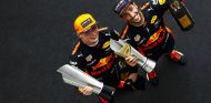 Versatppen y Ricciardo tras el GP de Malasia 2017 - SoyMotor.com