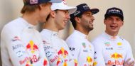 Los pilotos de Red Bull y Toro Rosso en F1 – SoyMotor.com