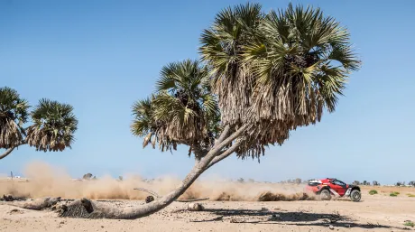 Acciona Sainz XE Team.