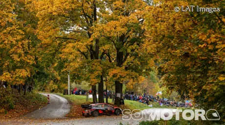 Thierry Neuville en Japón