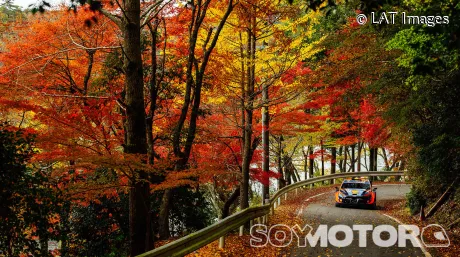 Previo del Rally de Japón 2024: todo lo que debes saber - SoyMotor.com