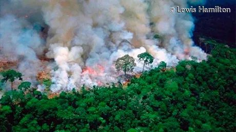 hamilton-incendios-amazonas-soymotor.jpg