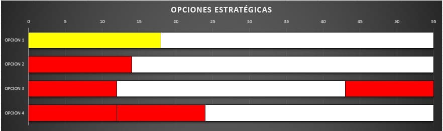 opciones_estrategicas_2.jpg