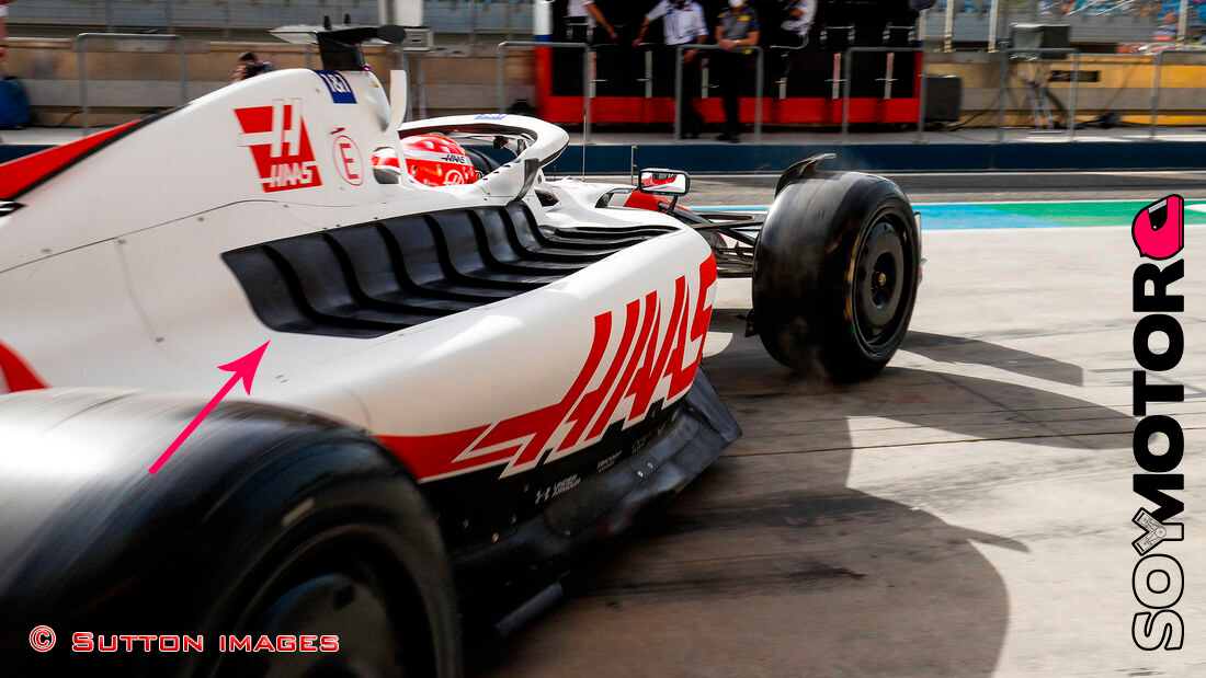 haas-branquias-soymotor.jpg