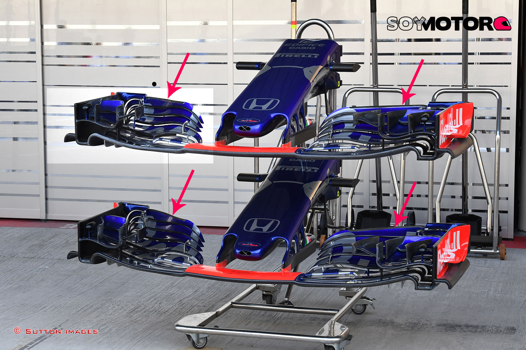 toro-rosso-ala-delantera2.jpg