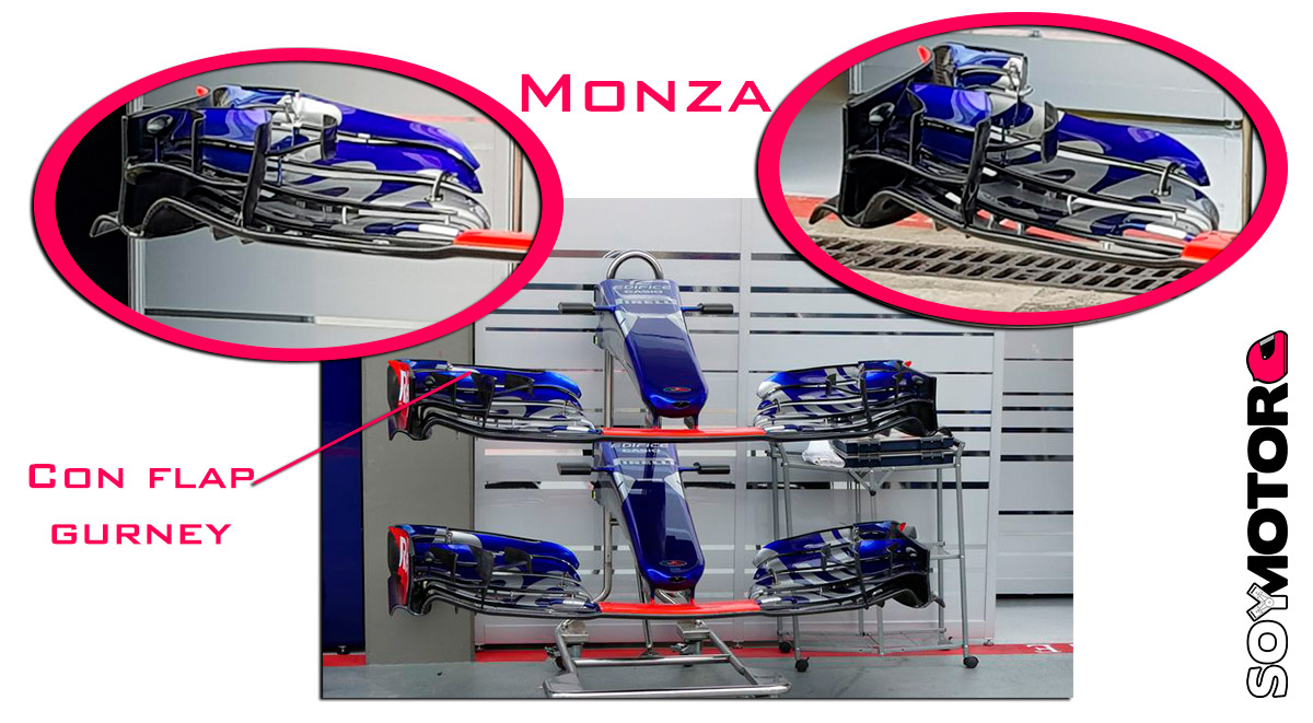 toro-rosso-ala-delantera_0.jpg