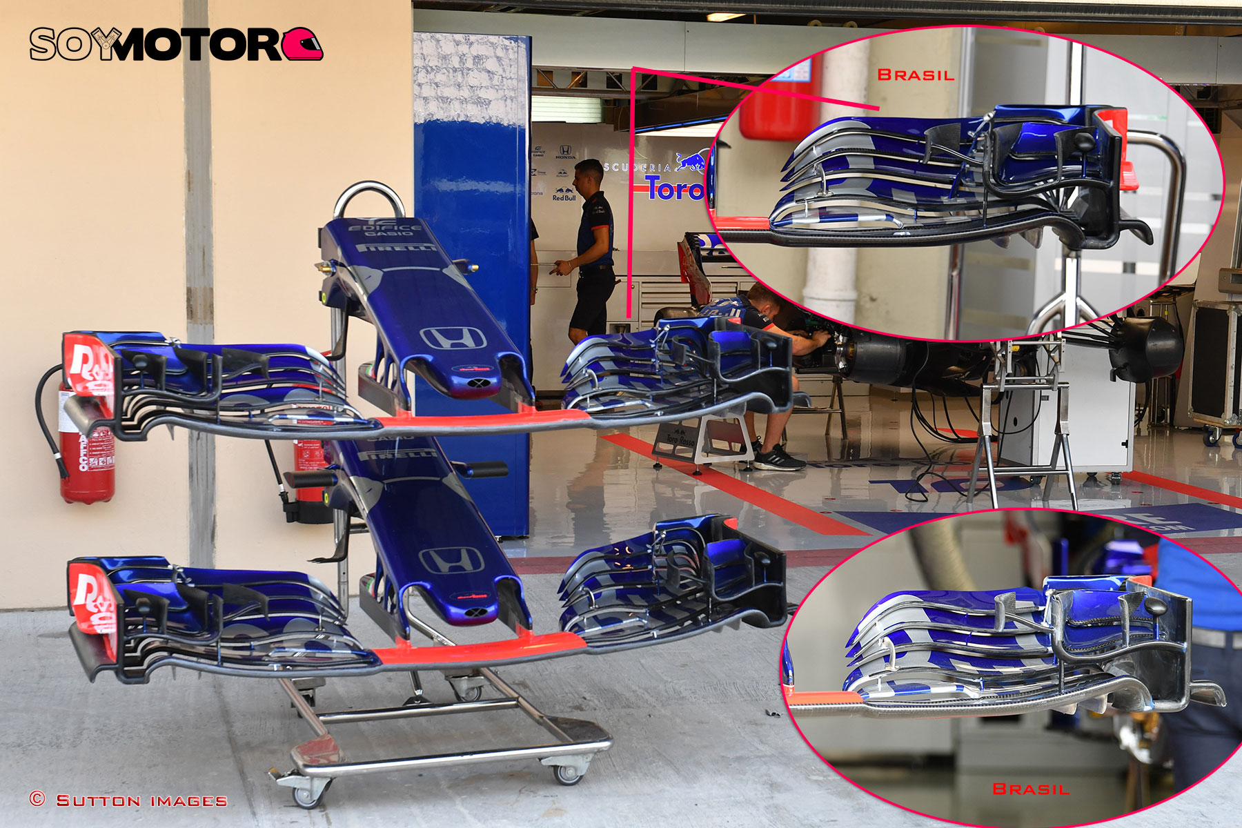 toro-rosso-ala-delantera_4.jpg