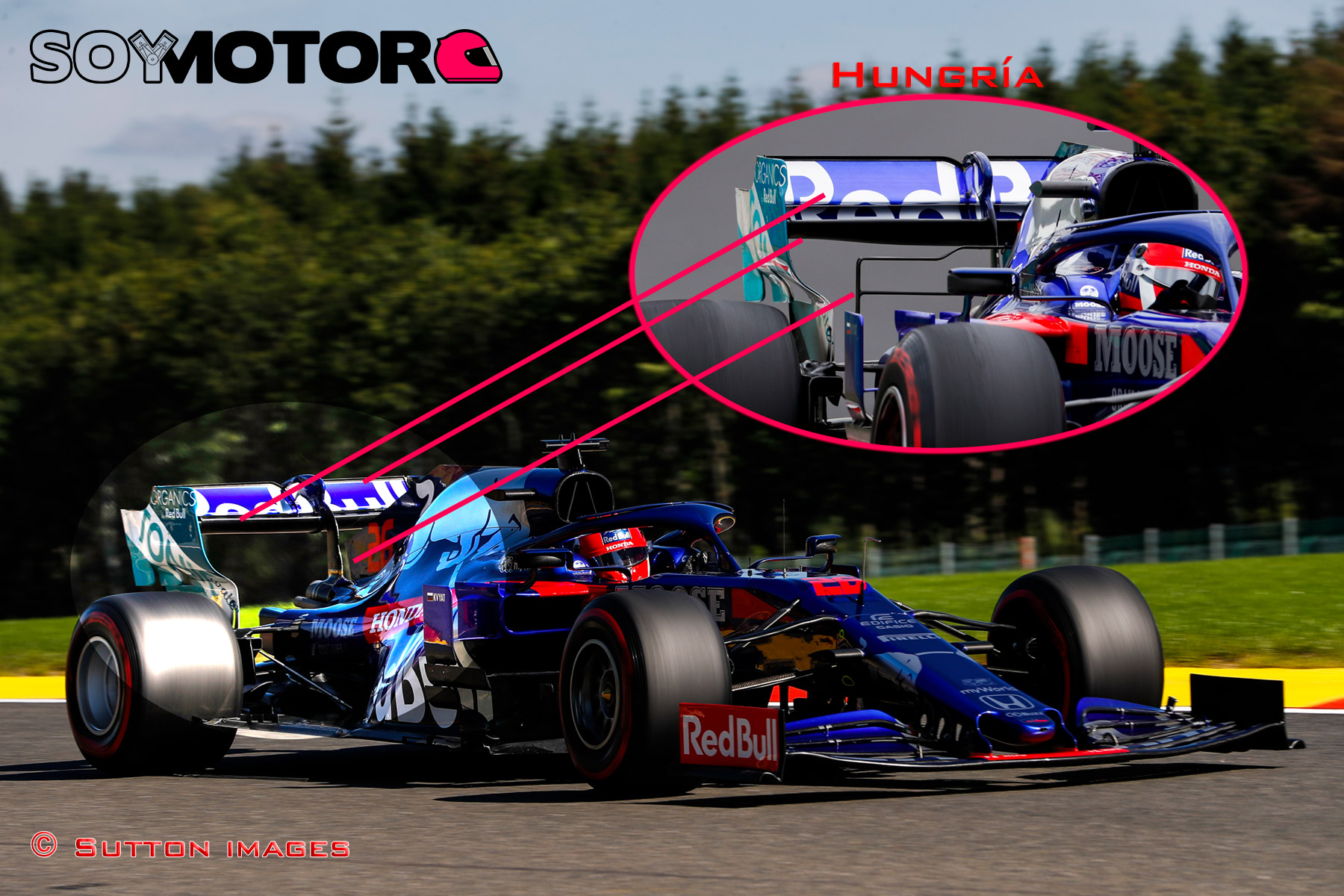 toro-rosso-ala-trasera-sin-t-wing-soymtor.jpg